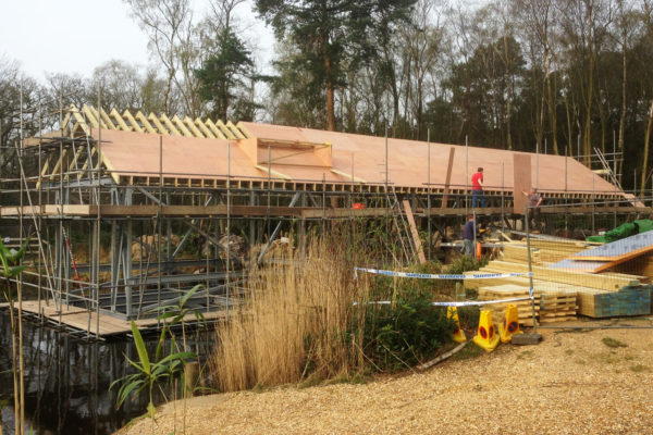the roof being built for a boat house green roof in Avon Tyrrell