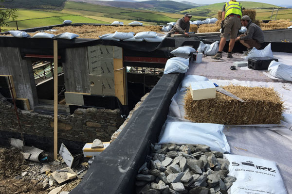 the team installing a haybase green roof in Scotland